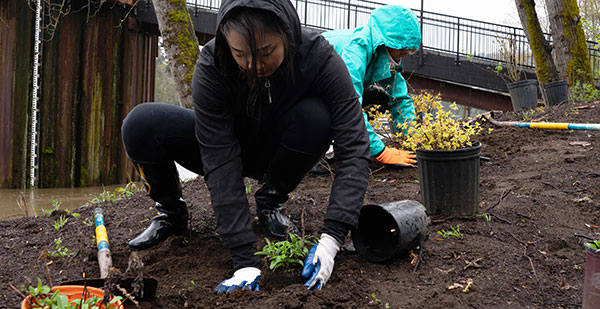 Worker planting with environmental cleanup event