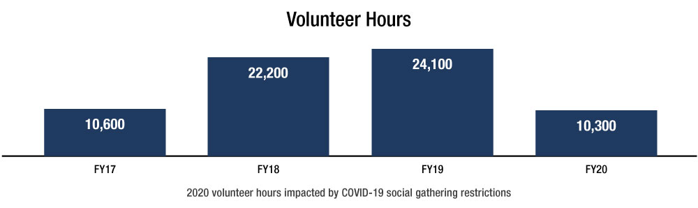 Volunteer Hours graph